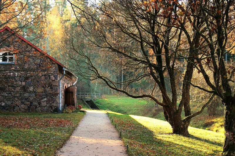 Санитарные дни в Пушкинских Горах